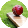 Cricket sport icon